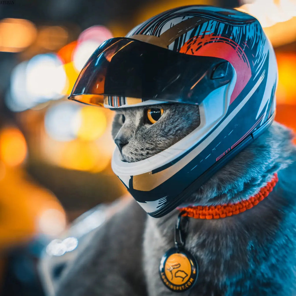 Casco Pequeño De Colección Casco Apto Para Gato Y Mascotas