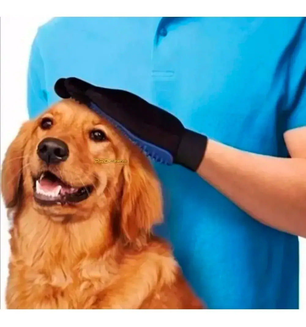 Guante Cepillo Masajeador Mascotas Quita Pelo Gatos Perro